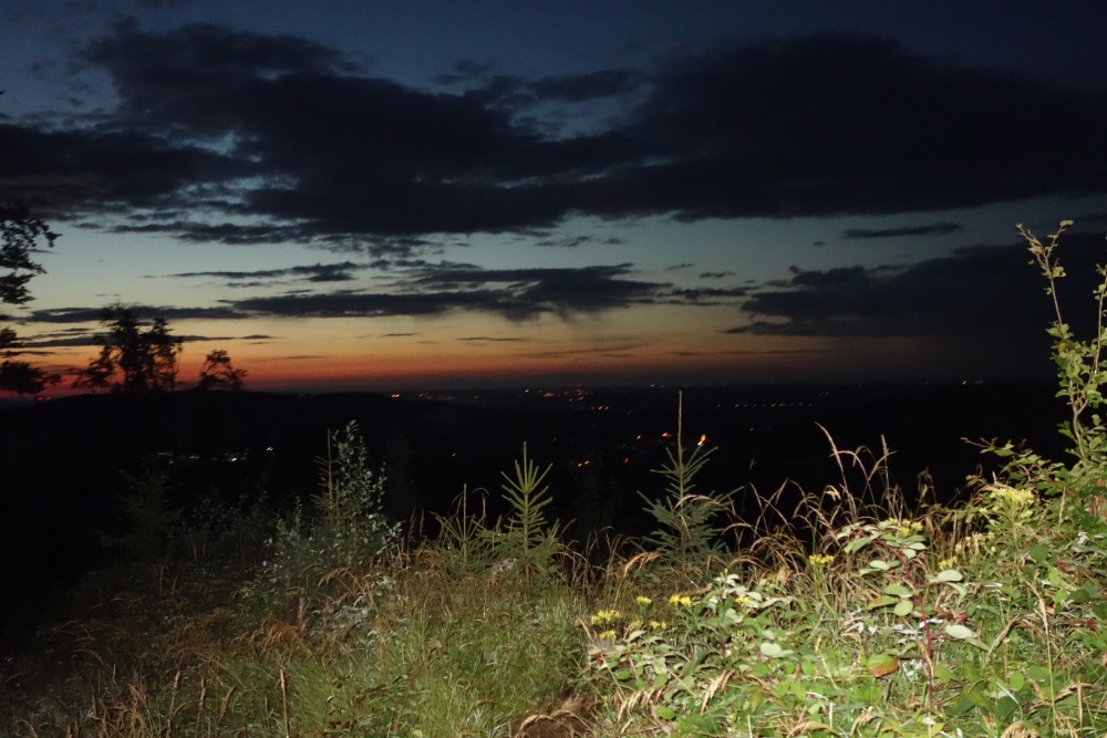 DSC05037