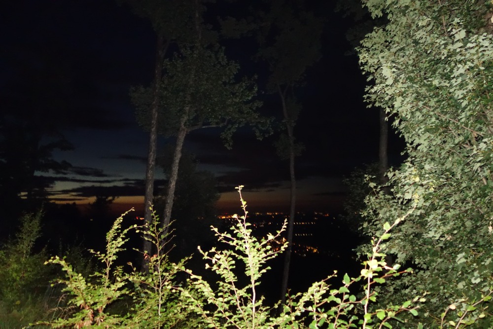 DSC05088